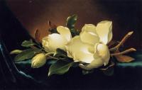 Heade, Martin Johnson - Two Magnolias and a Bud on Teal Velvet